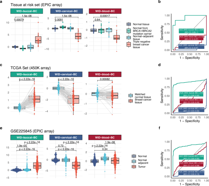 Fig. 4: Evaluation of WID-buccal-, -cervical-, and -blood-BC indices in breast tissue.