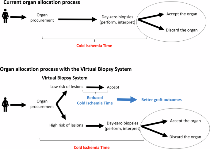 Fig. 1: The potential impact and utility of the Virtual Biopsy System.