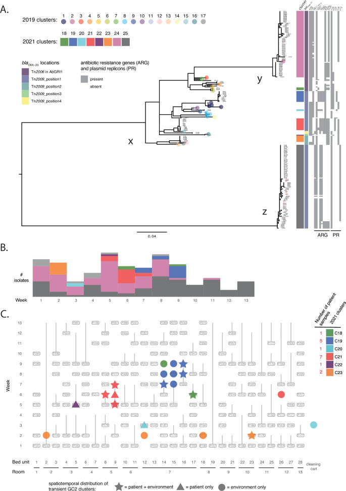 Fig. 2: The ICU GC2 population observed in this study.