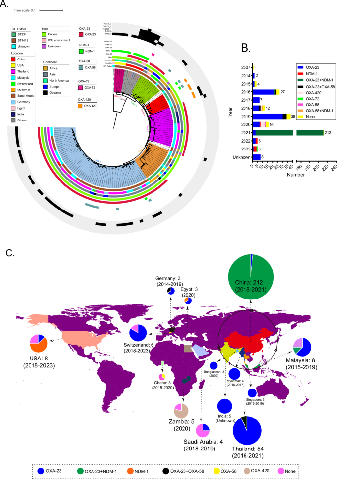 Fig. 5: Global ST164 population structure and distribution.