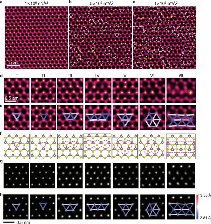 Fig. 2: Fabrication and scanning transmission electron microscopy integrated differential phase contrast (STEM-iDPC) imaging of atomic defect configurations in free-standing monolayer WS2.