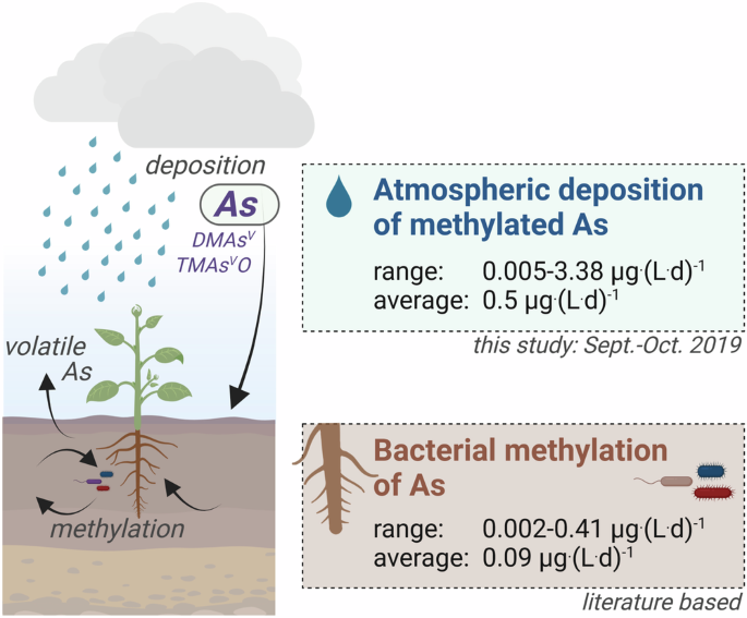 Fig. 6: Comparison of atmospheric deposition flux of methylated arsenic (As) species and previously reported bacterial methylation rates of As in soils.