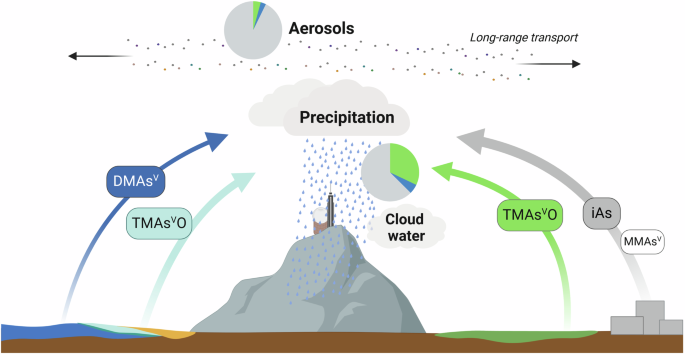 Fig. 7: Overview of source contributions for atmospheric arsenic (As) species in deposition samples collected at Pic du Midi Observatory.