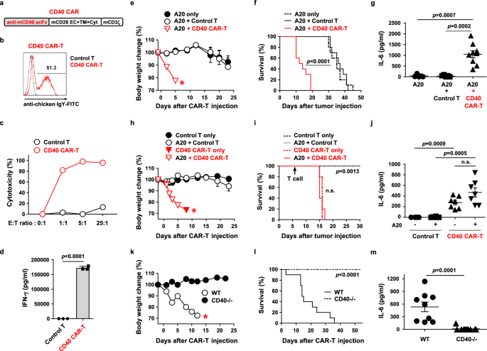 Fig. 1: Murine CD40 CAR-T cells show lethal on-target off-tumor toxicity in a syngeneic lymphoma model.