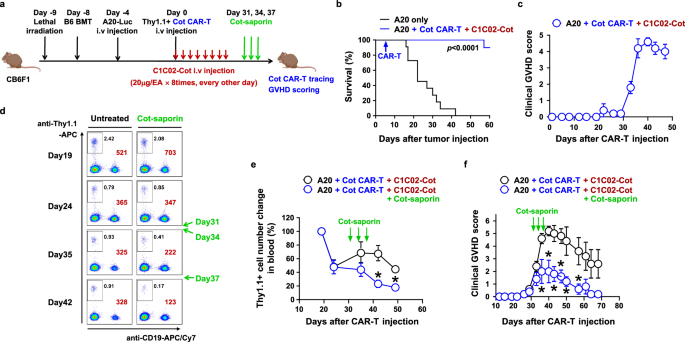 Fig. 7: Cotinine-drug conjugate can eliminate allogeneic CAR-T cells after tumor eradication to reduce GVHD side effect.