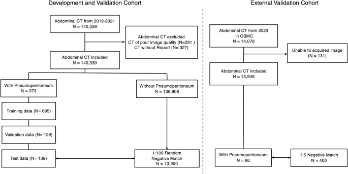 Fig. 1: The inclusion flowchart of this study.