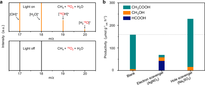 Fig. 6: Experimental investigations of reaction mechanisms.