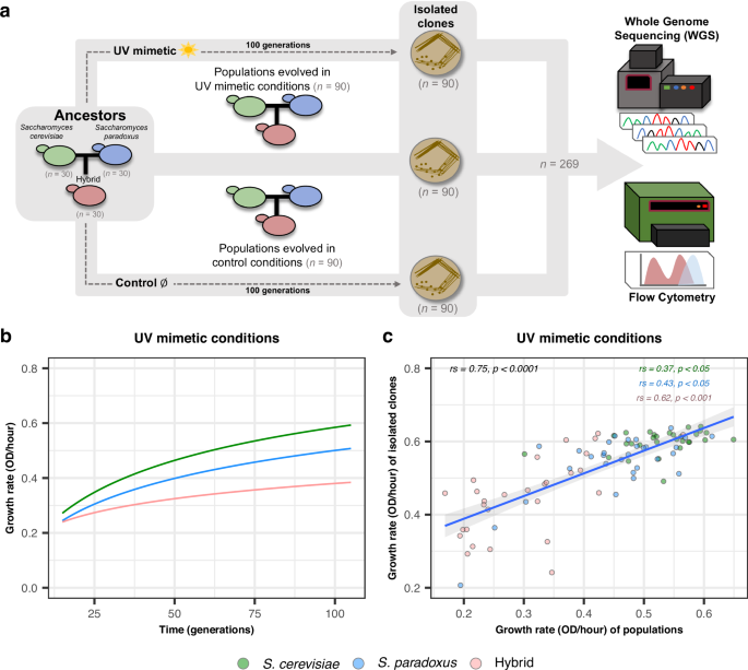 Fig. 1: Hybrids show a reduced adaptation rate in UV mimetic conditions.