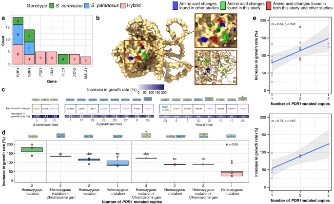 Fig. 3: PDR1 shows parallel adaptive changes among genotypic backgrounds.