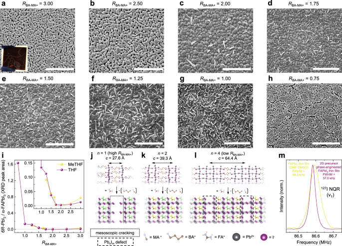 Fig. 3: Optimal 2D intermediate.