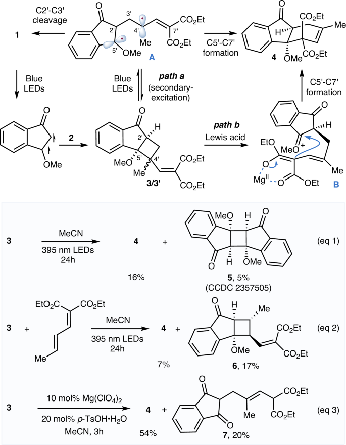Fig. 2: Proposed mechanism and mechanistic studies.