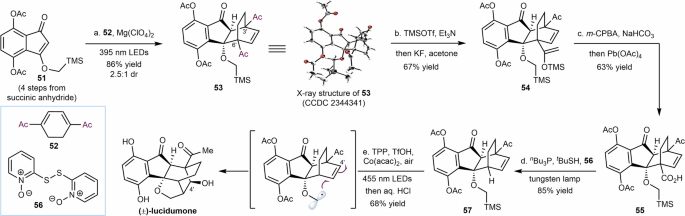 Fig. 4: Synthetic route toward lucidumone.
