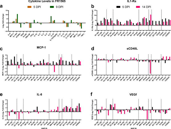 Fig. 5: Prior heterologous immunity does not affect the cytokine response to YFV infection.