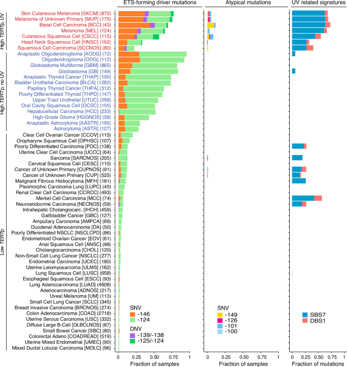 Fig. 1: Overview of cancer types with TERTp mutations in GENIE.