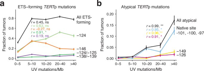 Fig. 3: Passenger-like distribution of atypical TERTp mutations.