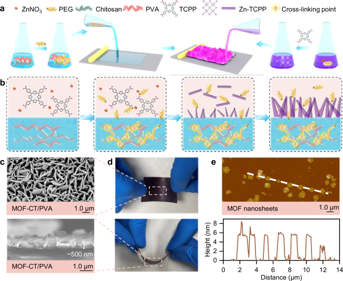 Fig. 1: Fabrication of vertically aligned MOF nanosheet layer on hydrogel membranes.