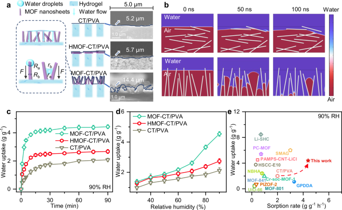 Fig. 3: AWH performance of MOF-CT/PVA and morphology effect on water transportation.