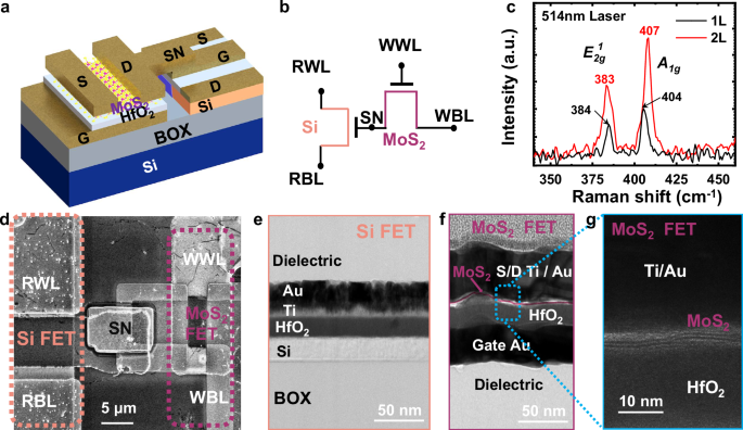 Fig. 1: Schematic and characterization of the Si-MoS2 2T-eDRAM.