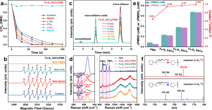 Fig. 3: The ROSs in different Fe-Nx SACs/PMS systems.