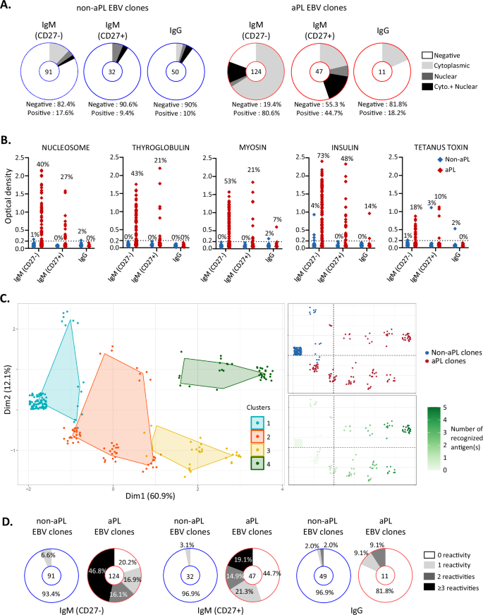 Fig. 4: Naive pool of aPL B cells is largely polyreactive.