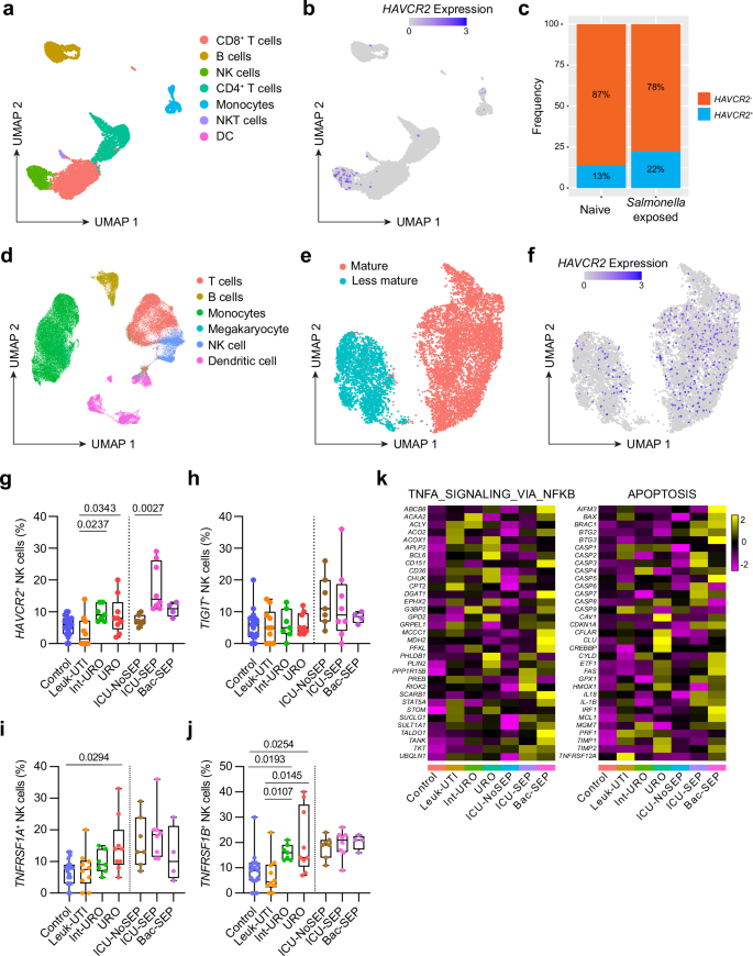 Fig. 7: scRNA-seq reveals Tim3 and TNF signaling in NK cells from human PBMC.
