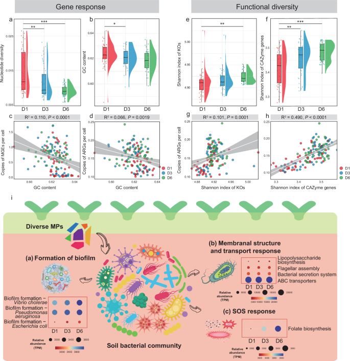 Fig. 3: Genetic and functional diversity, and bacterial KEGG features associated with microbial antibiotic resistance enrichment.