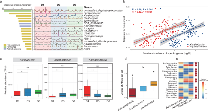 Fig. 5: Biomarkers indicating microbial antibiotic resistance changes in the MP-contaminated soil.