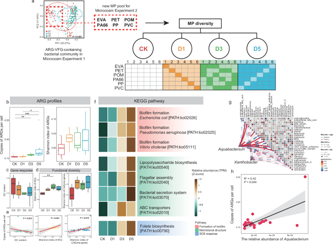 Fig. 6: Results of Microcosm Experiment 2.