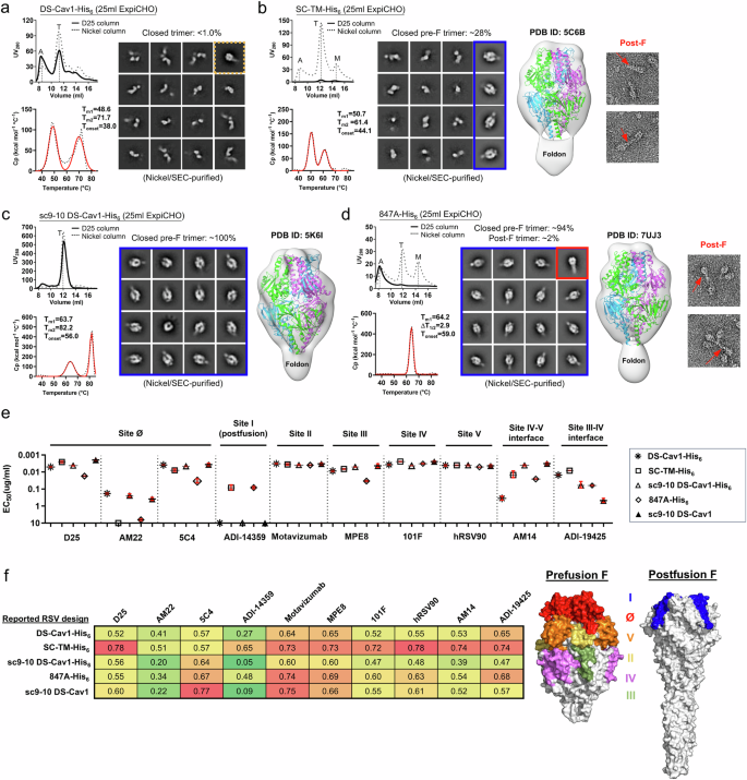Fig. 1: Comparative in vitro characterization of previously reported RSV-F designs.