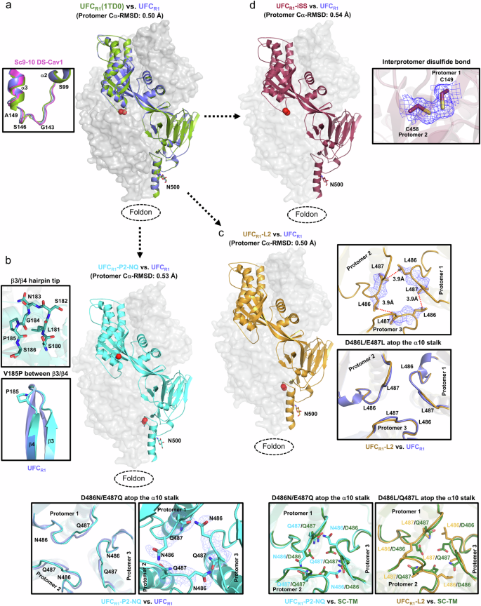 Fig. 3: Crystallographic analysis of RSV-F UFCR1 series and variants.