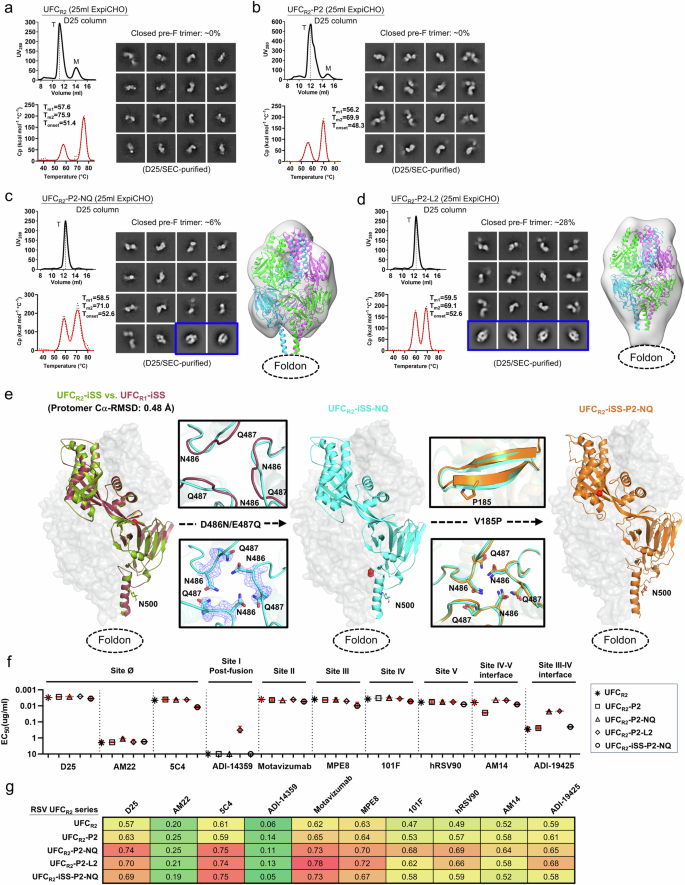Fig. 4: Design, in vitro characterization, and crystallographic analysis of RSV-F UFCR2 series.