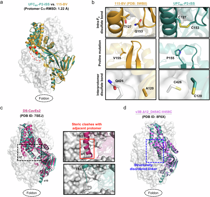 Fig. 6: Crystallographic analysis of hMPV-F UFCM1-P2-iSS.