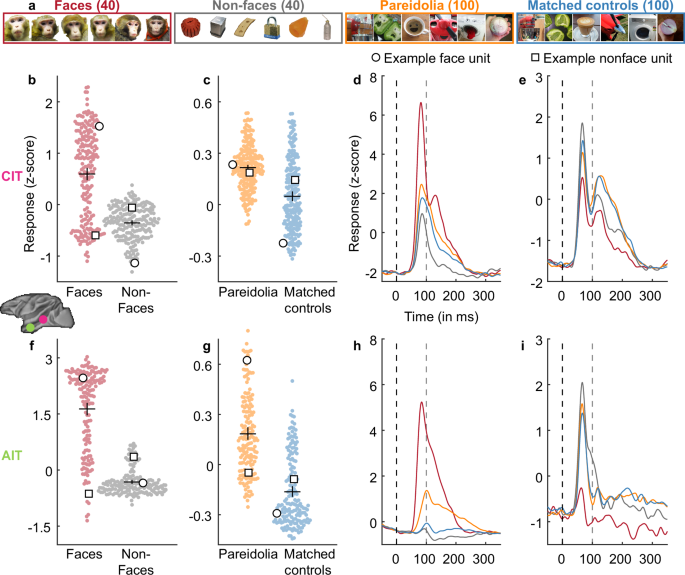 Fig. 1: Units in CIT and AIT show pareidolia selectivity.