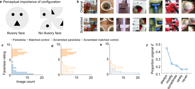 Fig. 4: Quadrant scrambling disrupts the faceness of pareidolia images.