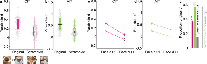 Fig. 5: Quadrant scrambling does not eliminate neural pareidolia selectivity.