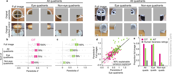 Fig. 6: Neural pareidolia selectivity in face units is primarily driven by “eye” quadrants.