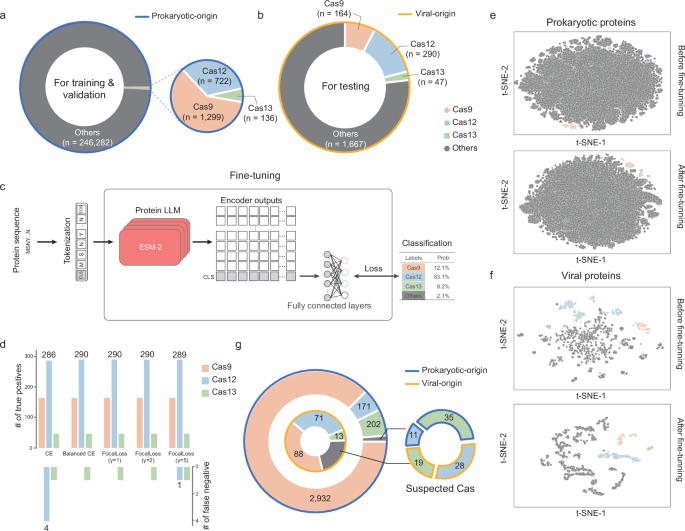 Fig. 2: Model trained for Cas single-effector discovery.