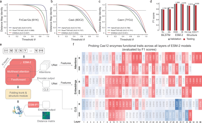Fig. 3: Model trained for predicting Cas12 enzymes capable of self-processing pre-crRNA.
