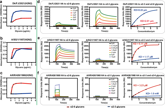 Fig. 2: Receptor-binding properties of the wild-type H2N2 avian and human viruses.