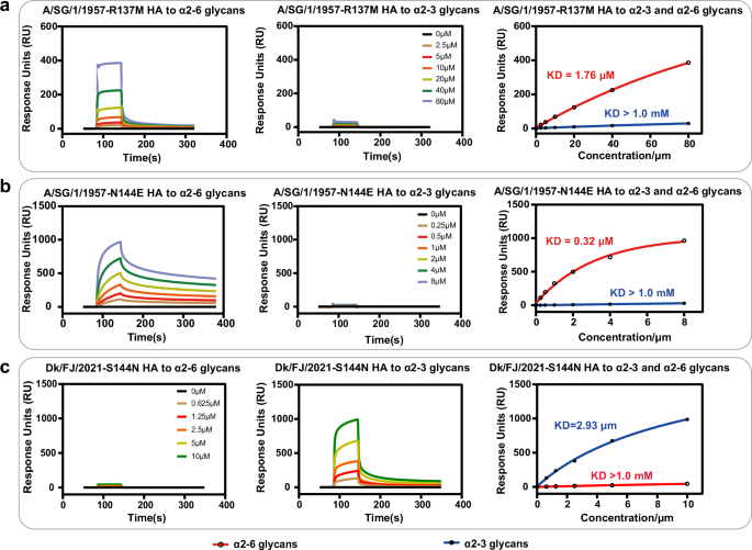 Fig. 3: Receptor-binding properties of the H2N2 HA mutants.