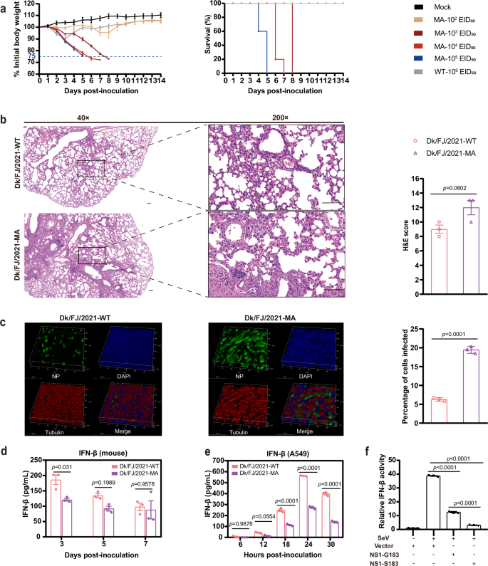 Fig. 6: Pathogenicity of the H2N2 avian influenza virus.