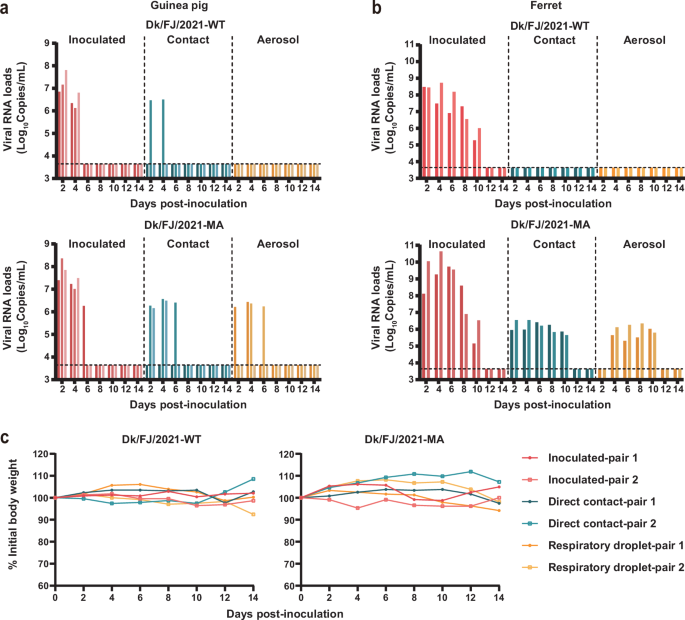 Fig. 7: Transmission of the H2N2 avian influenza virus.