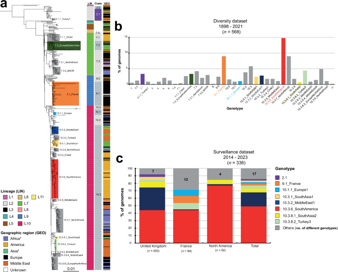 Fig. 2: Identification of the 38 hierarchical genotypes of SPB- PG1 and their distribution between the diversity and surveillance datasets.