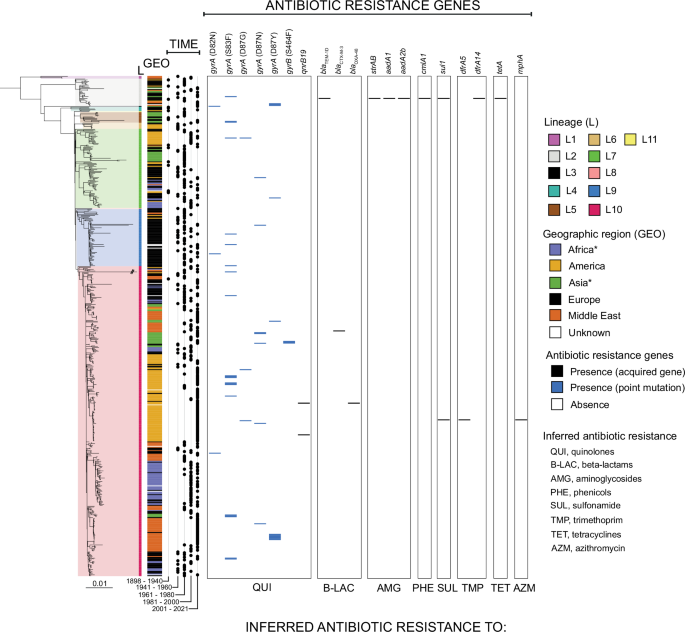 Fig. 5: Genomic characterization of antibiotic resistance genes in SPB- PG1.