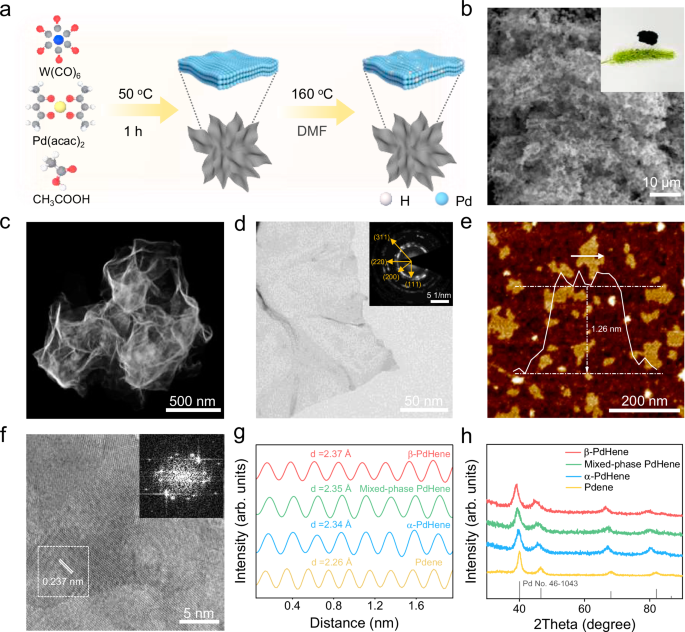 Fig. 1: Synthesis and characterization of β-PdHene aerogels.