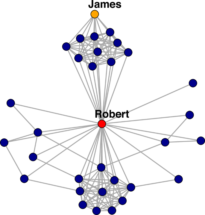 Fig. 6: Which network position favors individual success?