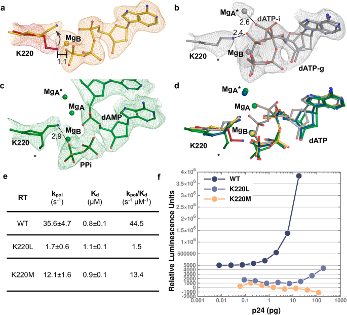 Fig. 6: Interaction of K220 in the RT active site.