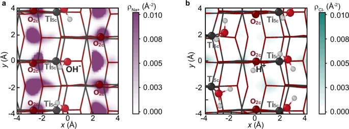 Fig. 5: In-plane ion distribution.