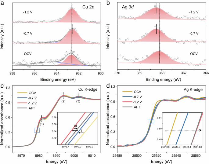 Fig. 3: Dynamic evolution of Ag1Cu NW during CO2RR.