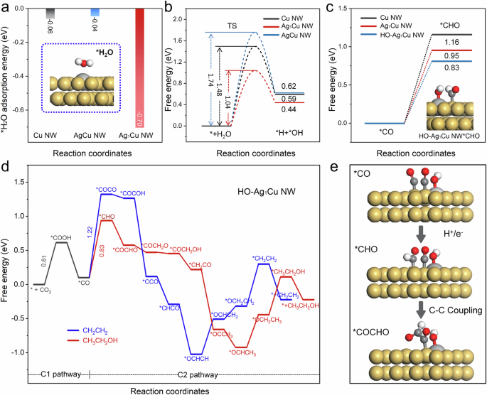 Fig. 5: Theoretical insights into the catalytic mechanisms.
